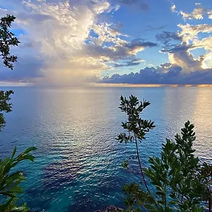 Oceanfront W/ Free Parking + High Speed Wifi Negril