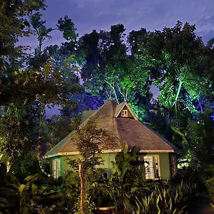 Lodge Bak A Yaad, Negril